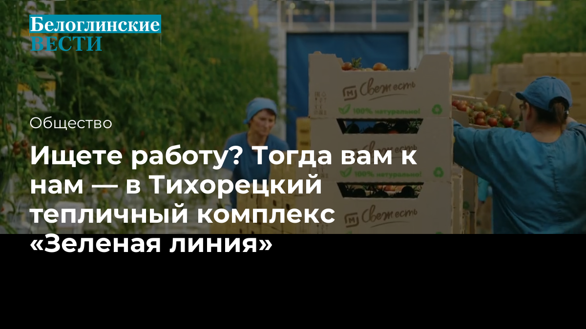 Ищете работу? Тогда вам к нам — в Тихорецкий тепличный комплекс «Зеленая  линия»