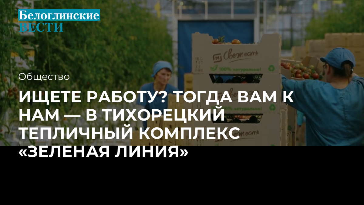 ИЩЕТЕ РАБОТУ? ТОГДА ВАМ К НАМ — В ТИХОРЕЦКИЙ ТЕПЛИЧНЫЙ КОМПЛЕКС «ЗЕЛЕНАЯ  ЛИНИЯ»